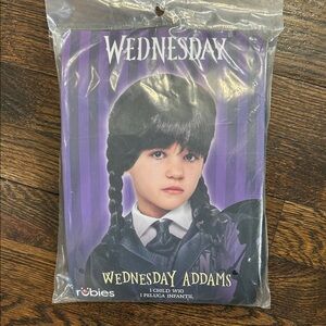 Rubie's Black Braided Child Wig